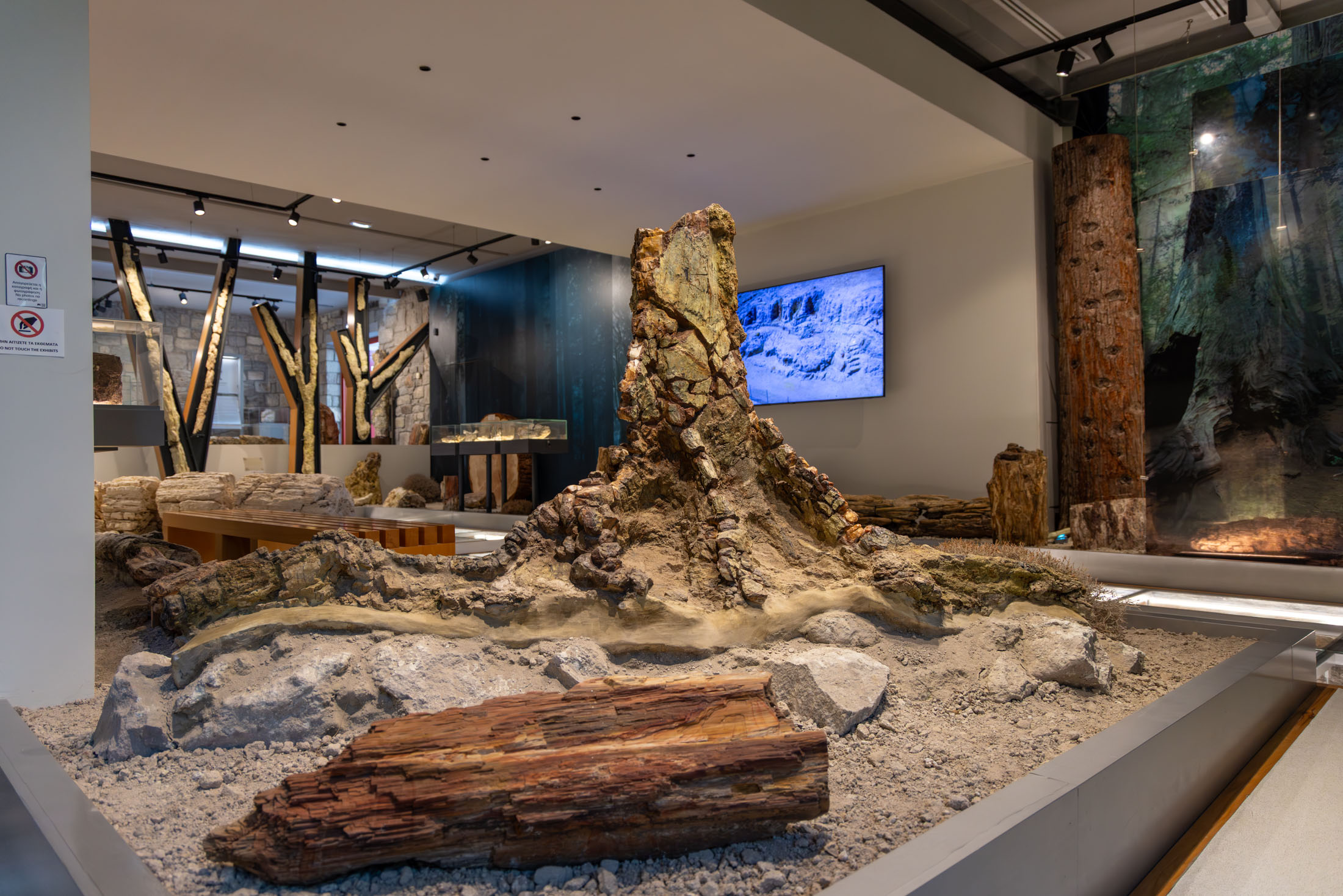 Natural History Museum of the Lesvos Petrified Forest
